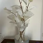 The Stone Nest * Πάφος