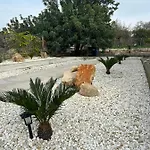 The Stone Nest Apartament